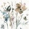 Dainty Blooms II Poster Print by Carol Robinson - Item # VARPDX19138